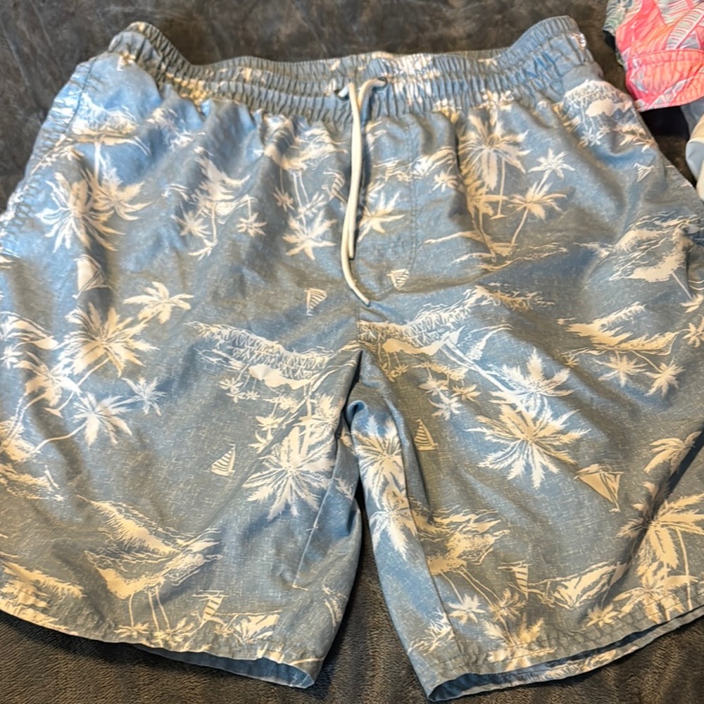 Blue Palm Tree Print Swim Shorts